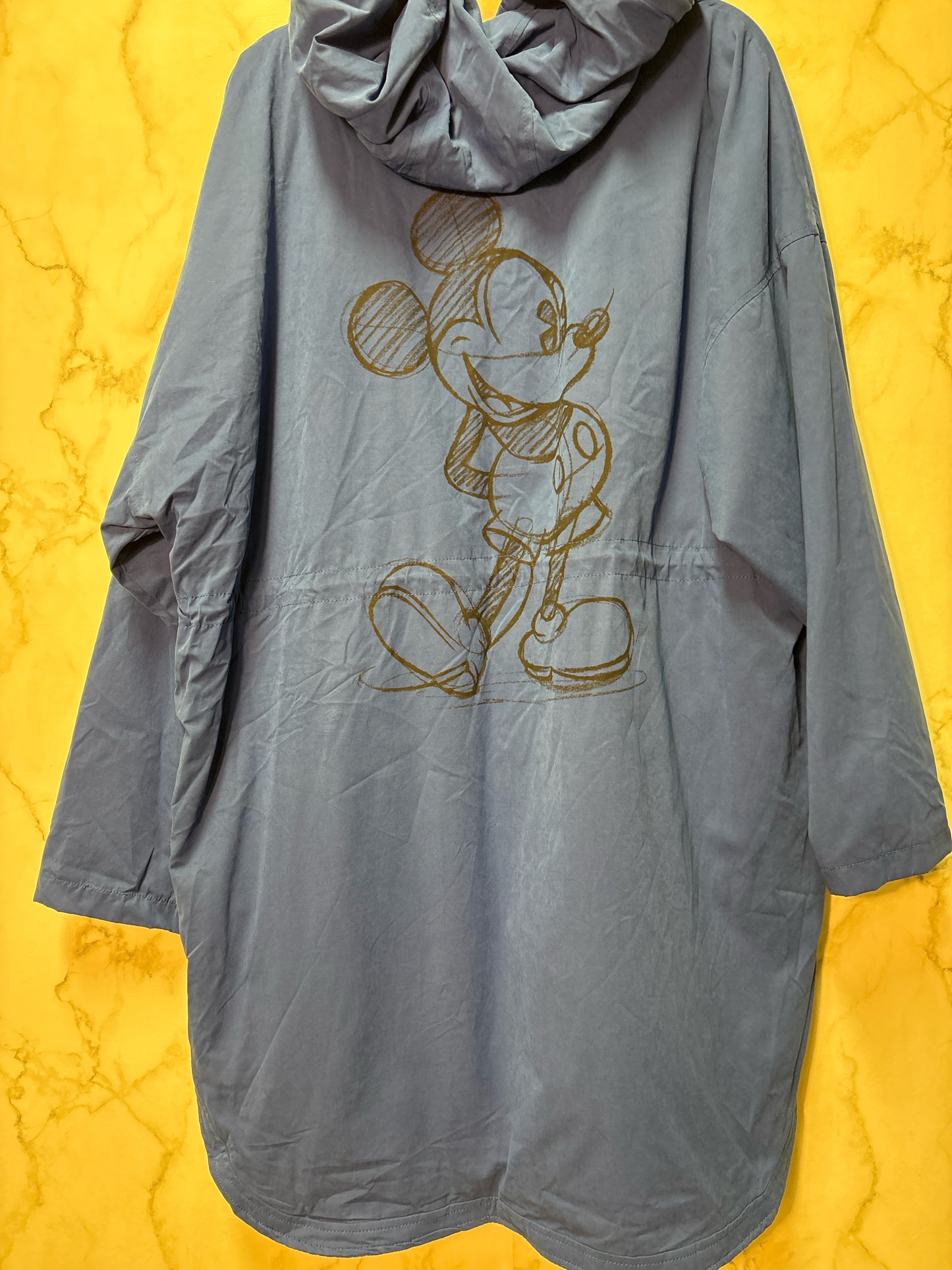 Size 2XL Disney Blue Mickey Ladies Coat