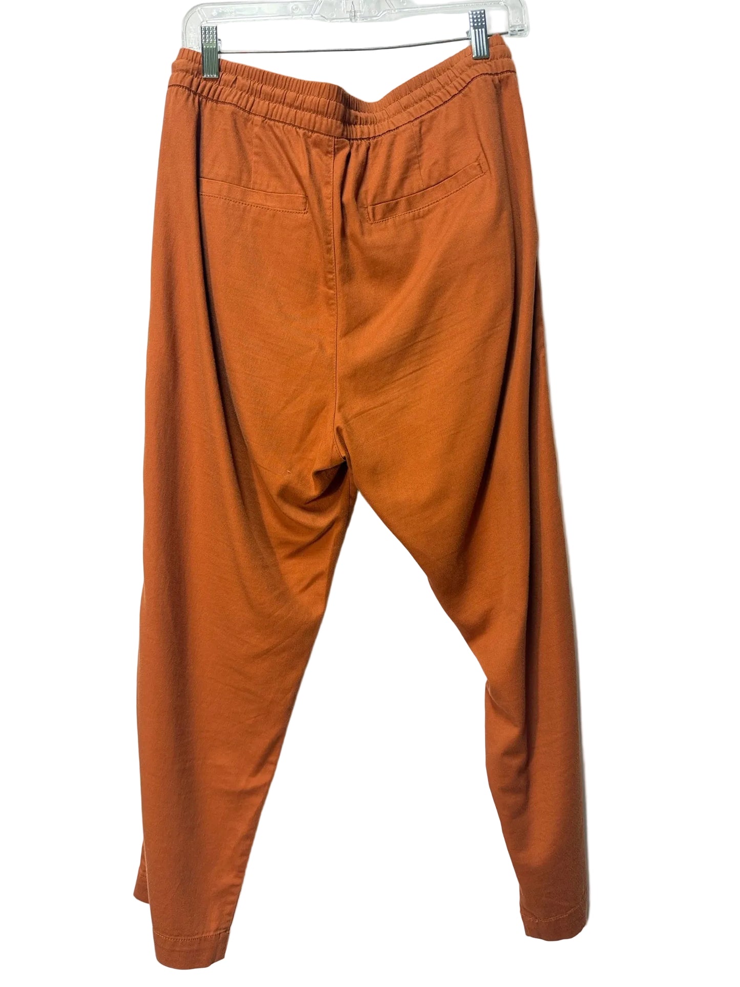 Size M Gap Rust Ladies Pants