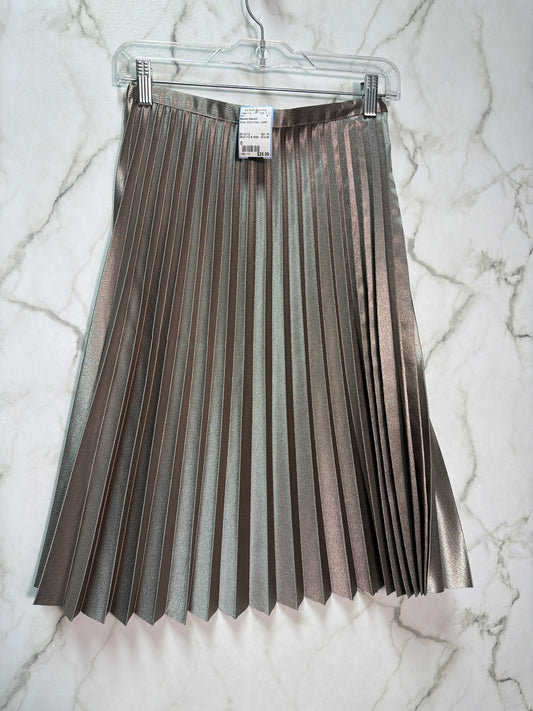 Size 0 Banana Republic Silver Brand New Ladies Skirt