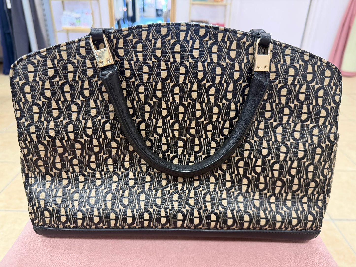 Aigner Purse