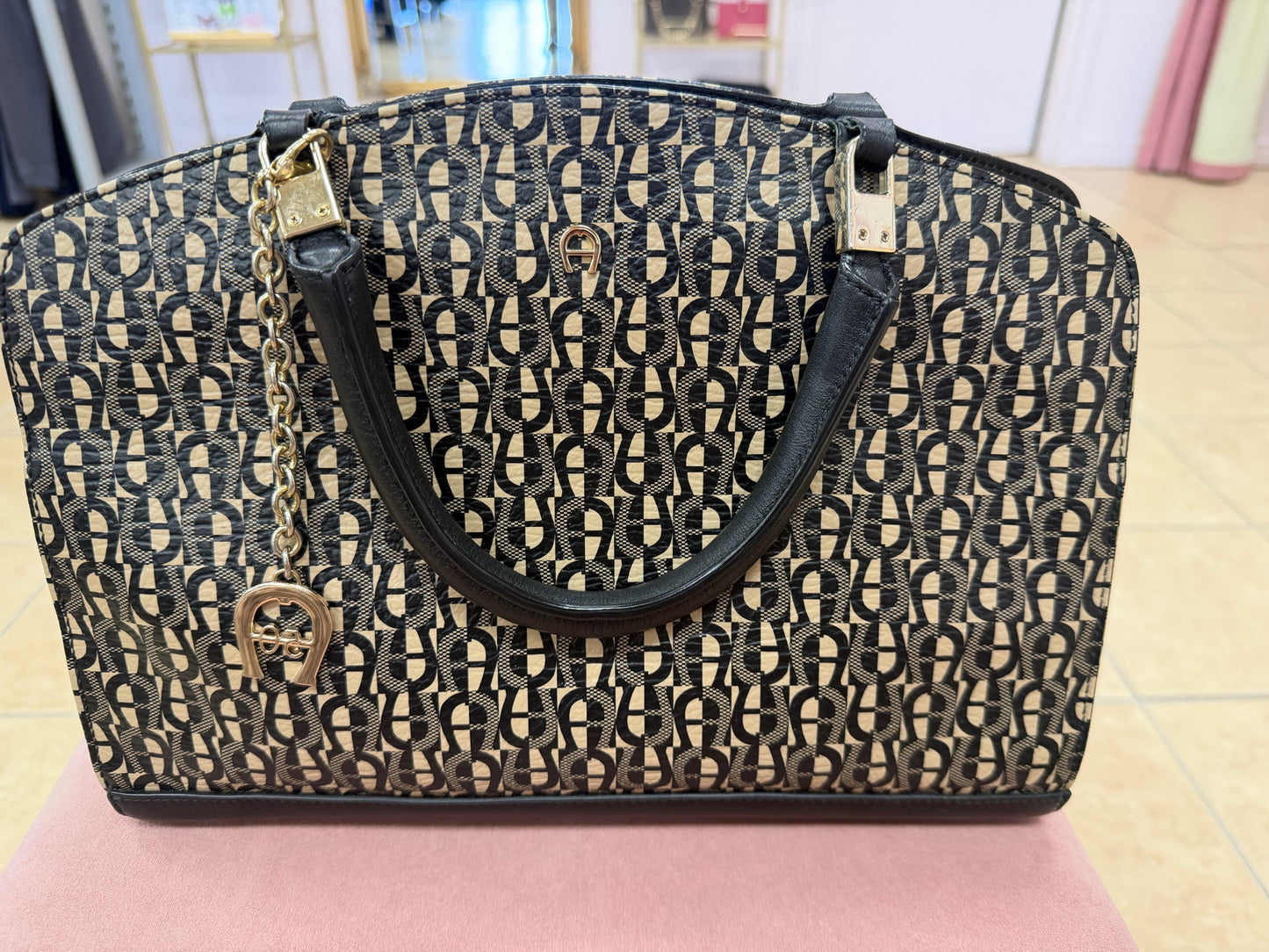 Aigner Purse