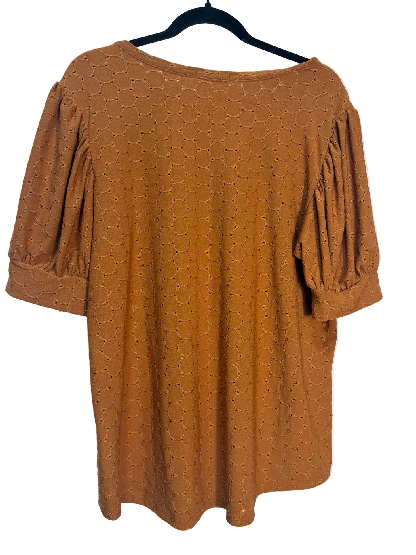 Size XL Brown Ladies Top